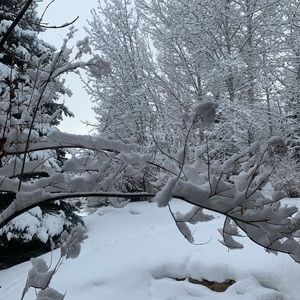 Meet your Posher, Tess